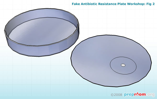 Fig 2: Glue 2 pence sized paper disc onto the film