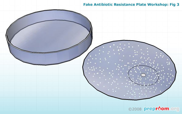 Fig 3: Apply enamel paint