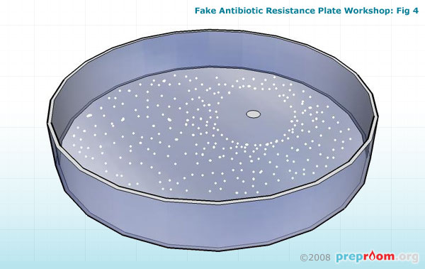Fig 4: Finished dish