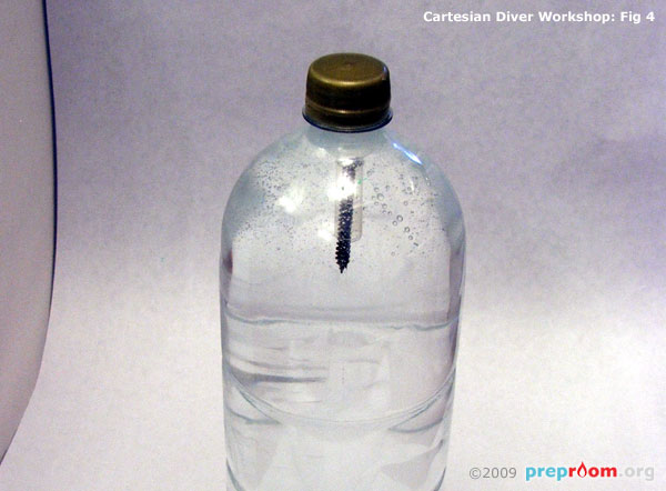 Fig 4: Diver in the bottle